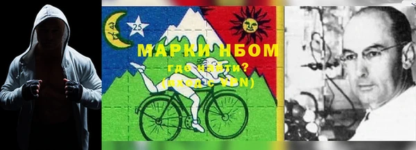 молекула духа Володарск