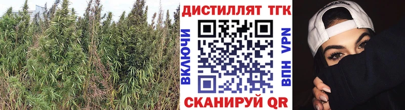 ТГК вейп  хочу наркоту  Переславль-Залесский 