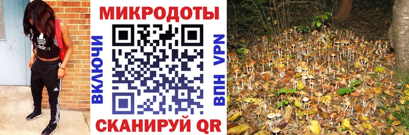 Псилоцибиновые грибы мицелий  купить наркоту  Переславль-Залесский 